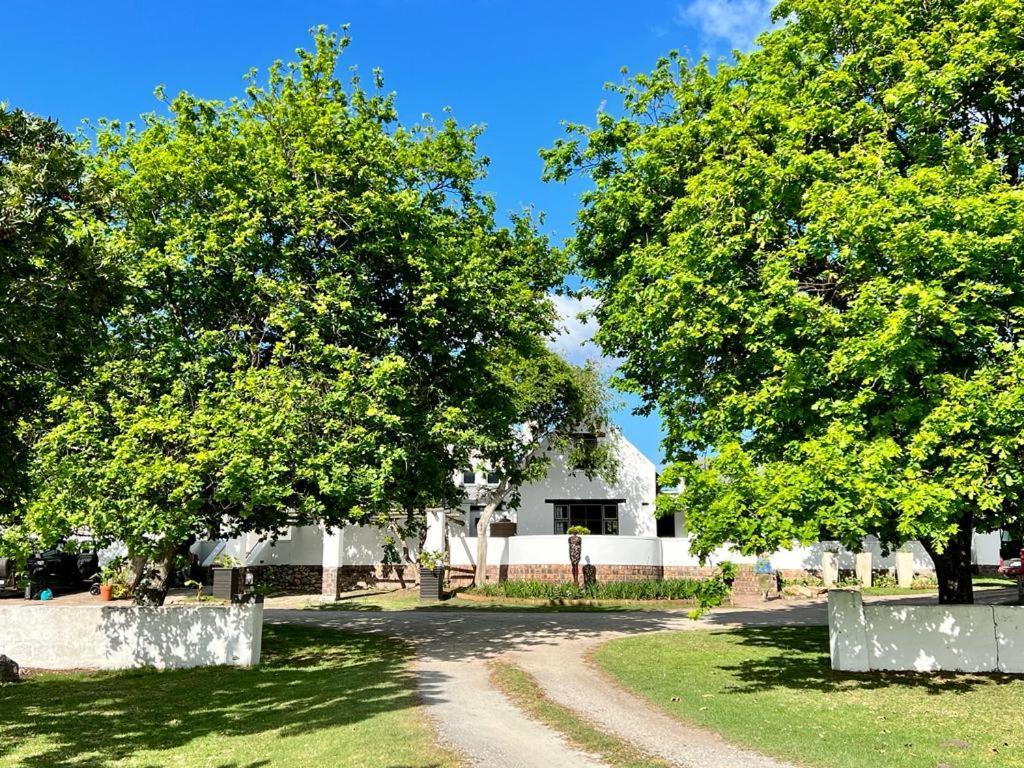 بليتنبيرغ باي Bitou River Lodge المظهر الخارجي الصورة